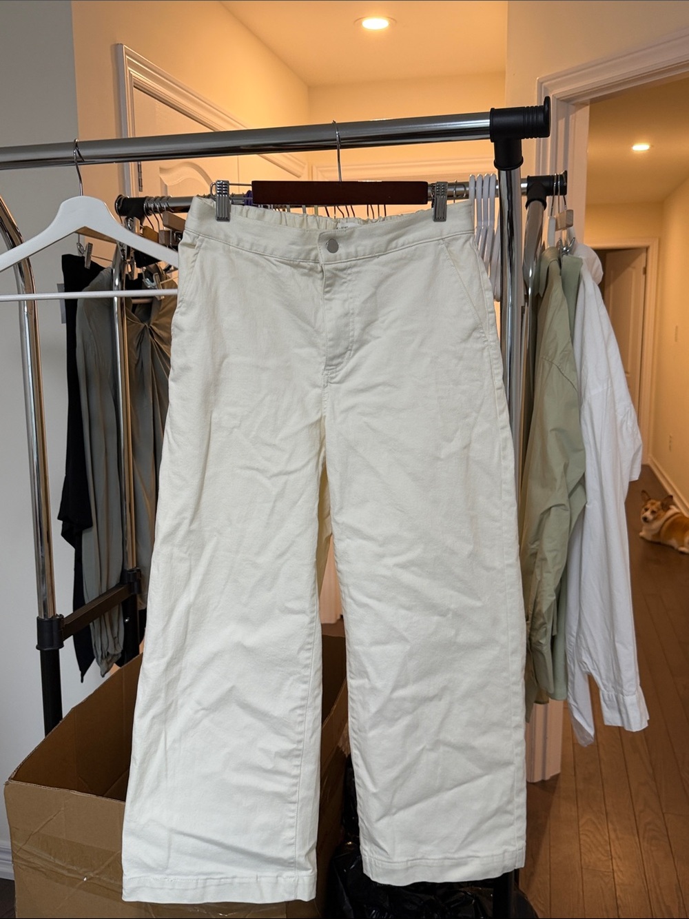 OAK + FORT Women's Cream Straight-Leg Chinos